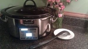 The Fast Metabolism Book Review IMAG1680