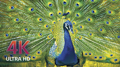 Check out the NEW LG OLED TV from Best Buy #HintingSeason #OLEDatBestBuy LG tv2