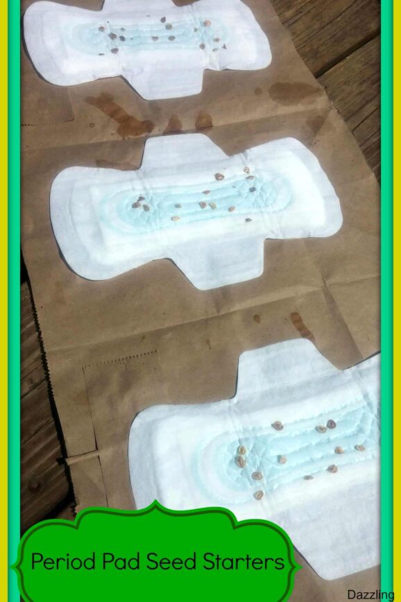 Poise Free Samples #RecycleYourPeriodPad