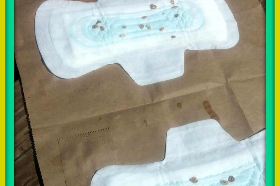 Poise Free Samples #RecycleYourPeriodPad