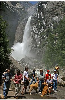 FREE enterance to national parks 11/10- 11/12