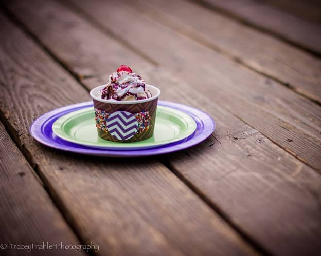 Celebrate The Mommy To Be With A Luv’s Baby Sprinkle Party #LuvsBabySprinkle TraceyFrahlerPhotography_Sprinkle-57 ice cream