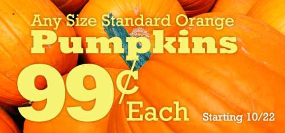 **HOT** Al’s Garden Center – $.99 Pumpkins (any standard orange size) Capture