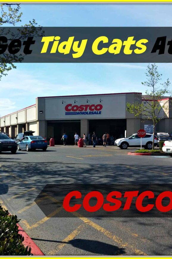 Tidy Cats – NOW Available At Costco In The Pacific Northwest #ad #TidyCatsAtCostco