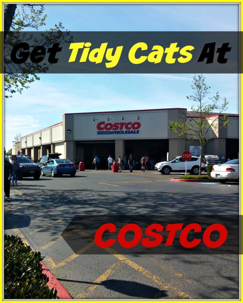 Tidy Cats – NOW Available At Costco In The Pacific Northwest #ad #TidyCatsAtCostco Tidy Cat at Costco 1 EE
