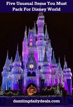 Five Unusual Items You Must Pack For Disney World