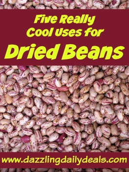 Five Really Cool Uses for Dried Beans #LifeHacks