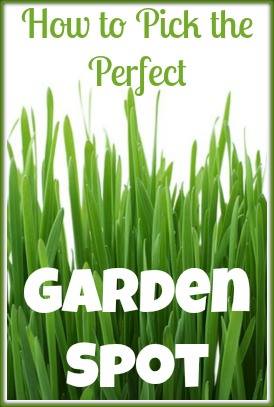 How to Pick the Perfect Garden Spot