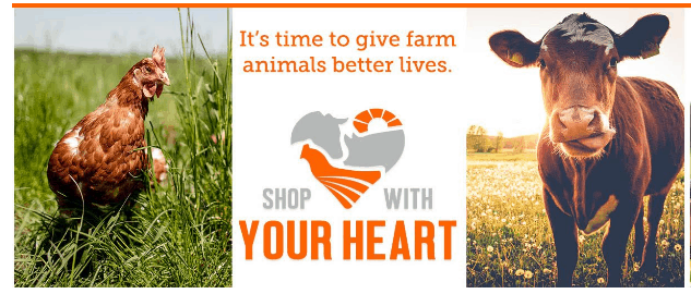 Its Time To Take The Pledge To Shop With Your Heart! Screen Shot 2016-07-20 at 2.45.36 PM