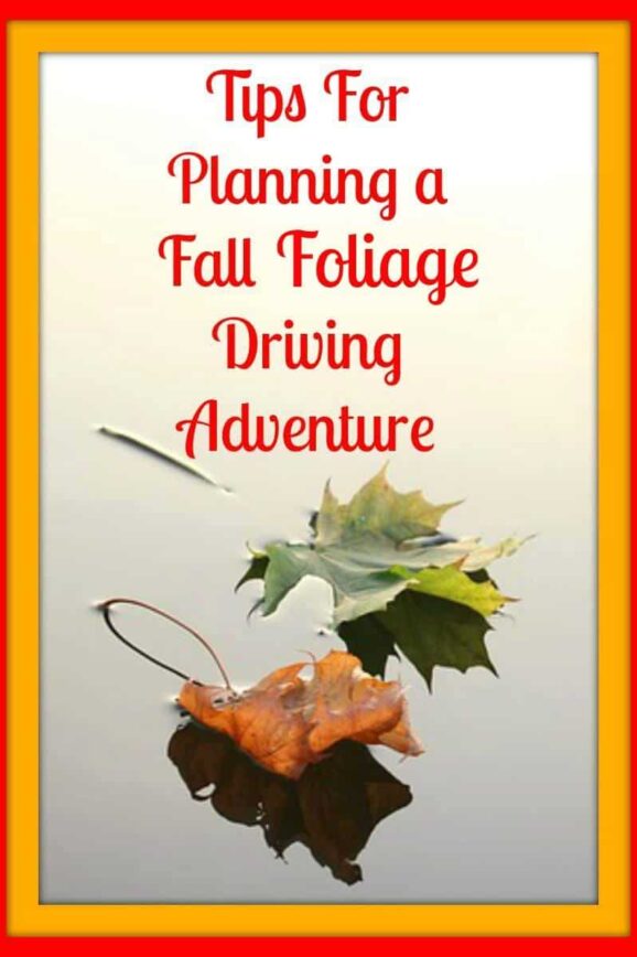 Tips For Planning A Fall Foliage Adventure