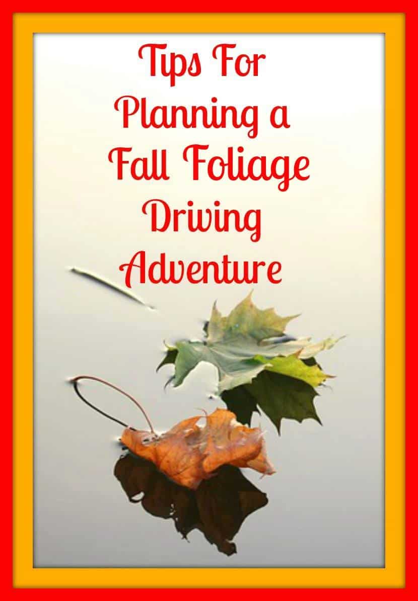 Tips For Planning A Fall Foliage Adventure