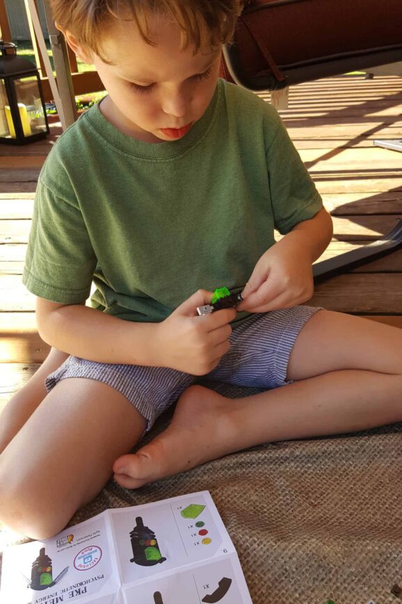 Brick Loot Making Kids LEGO Dreams Come True