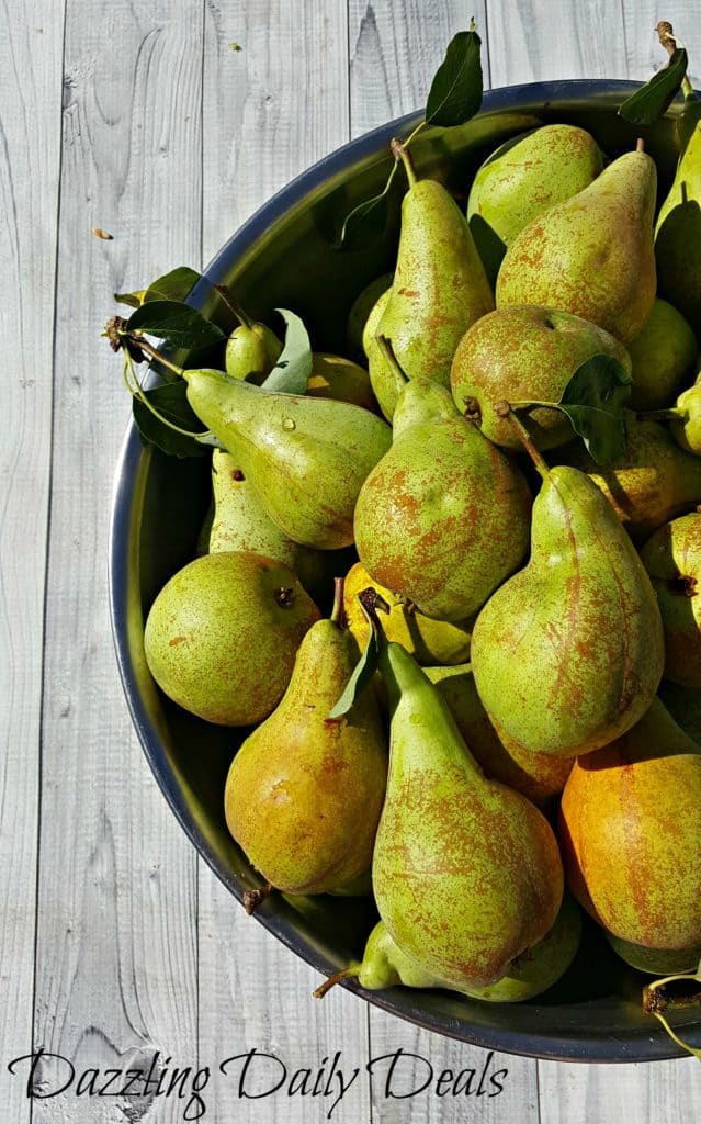 Spiked Spiced Apple Pear Cider spiked-cider