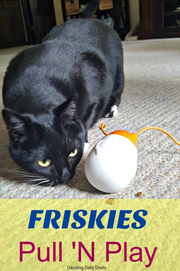 Friskies Pull N Play available at PetSmart #ad #MostPlayfulCat