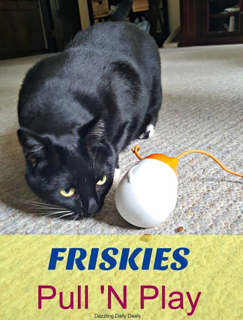Friskies Pull N Play available at PetSmart #ad #MostPlayfulCat pull-n-play