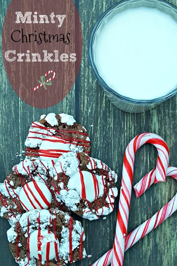 If You Give A Mouse A Christmas Cookie On Amazon – Minty Christmas Crinkle Recipe
