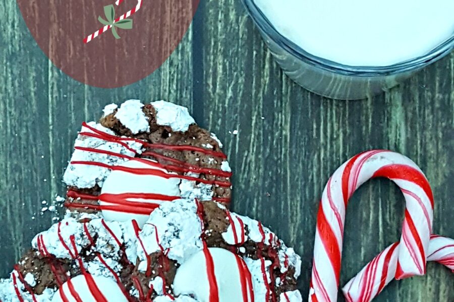 If You Give A Mouse A Christmas Cookie On Amazon – Minty Christmas Crinkle Recipe
