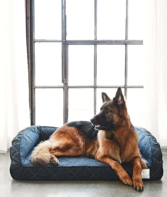Enter To #Win Runyon Pet Bed! #Giveaway
