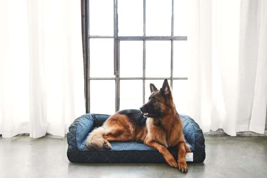 Enter To #Win Runyon Pet Bed! #Giveaway