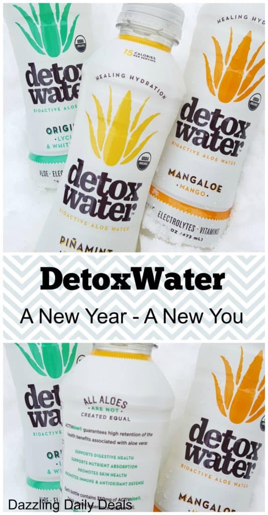 Achieving My New Years Goals With DetoxWater #drinkaloe #ad #detoxwater detox water