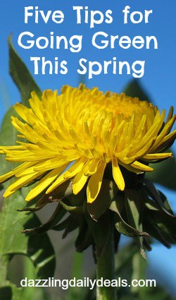Six Simple Tips To Go Green This Spring