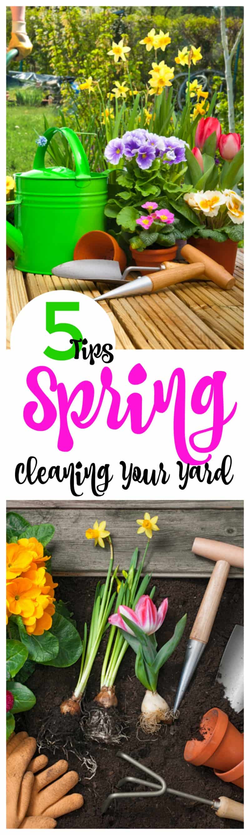 5 Tips on Spring Cleaning Your Yard Spring Cleaning Your Yard