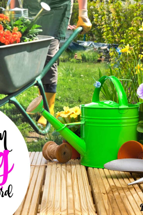 5 Tips on Spring Cleaning Your Yard