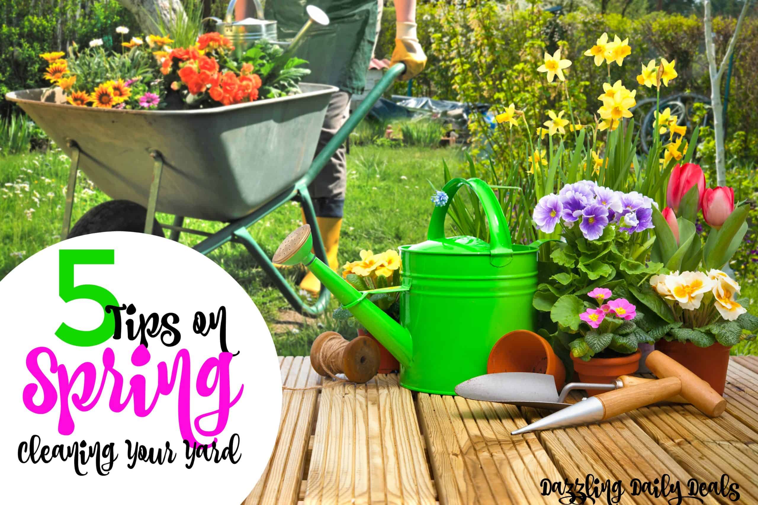 5 Tips on Spring Cleaning Your Yard