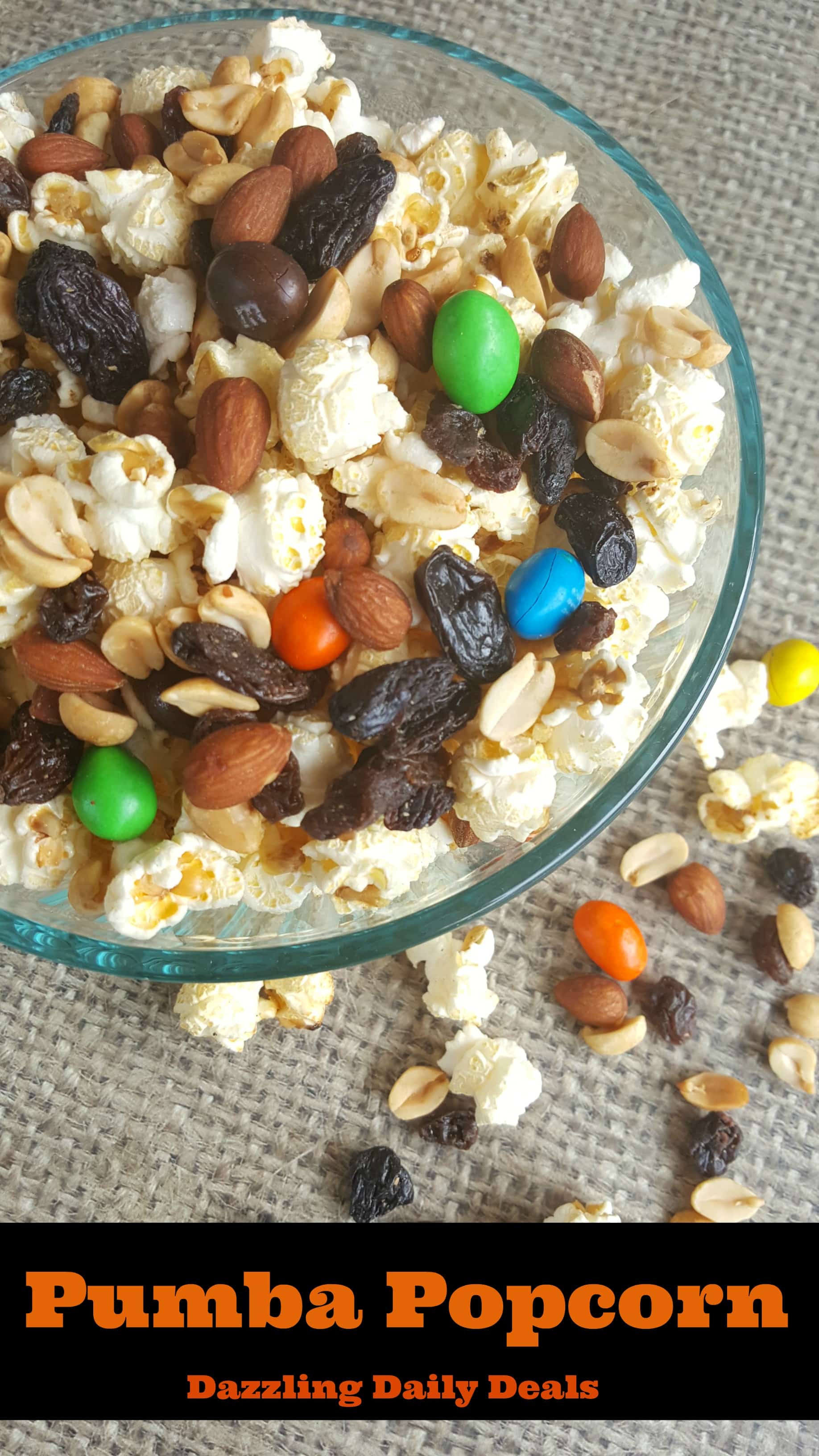 End Of Summer Movie Night With The Lion King On Blu-Ray #TheLionKing #PixarCOCOEvent End Of Summer Movie Night With The Lion King On Blu-Ray #TheLionKing #PixarCOCOEvent