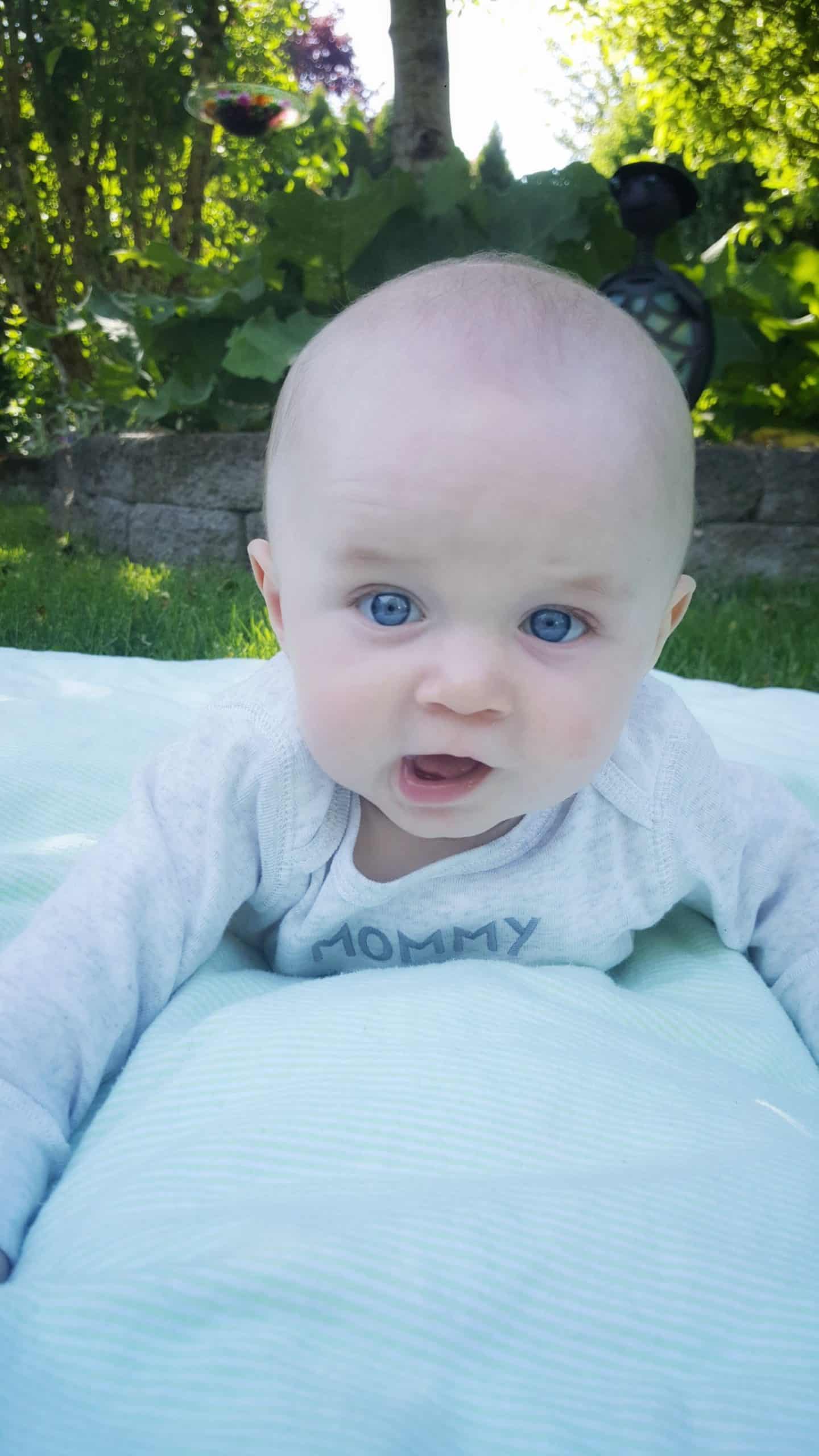 Carter’s Little Baby Basics – Get everything You Need In One Simple Shop #ad #LoveCarters