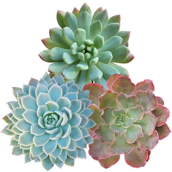 Back to School Shopping Guide For Parents Back to School Shopping Guide For Parents