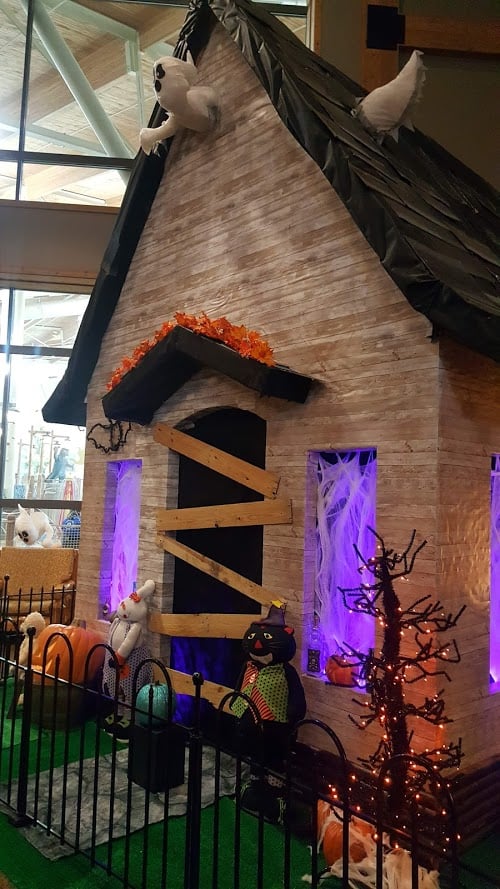 What’s NEW At Great Wolf Lodge, Save Up To 50% Off During Your Stay What’s NEW At Great Wolf Lodge, Save Up To 50% Off During Your Stay