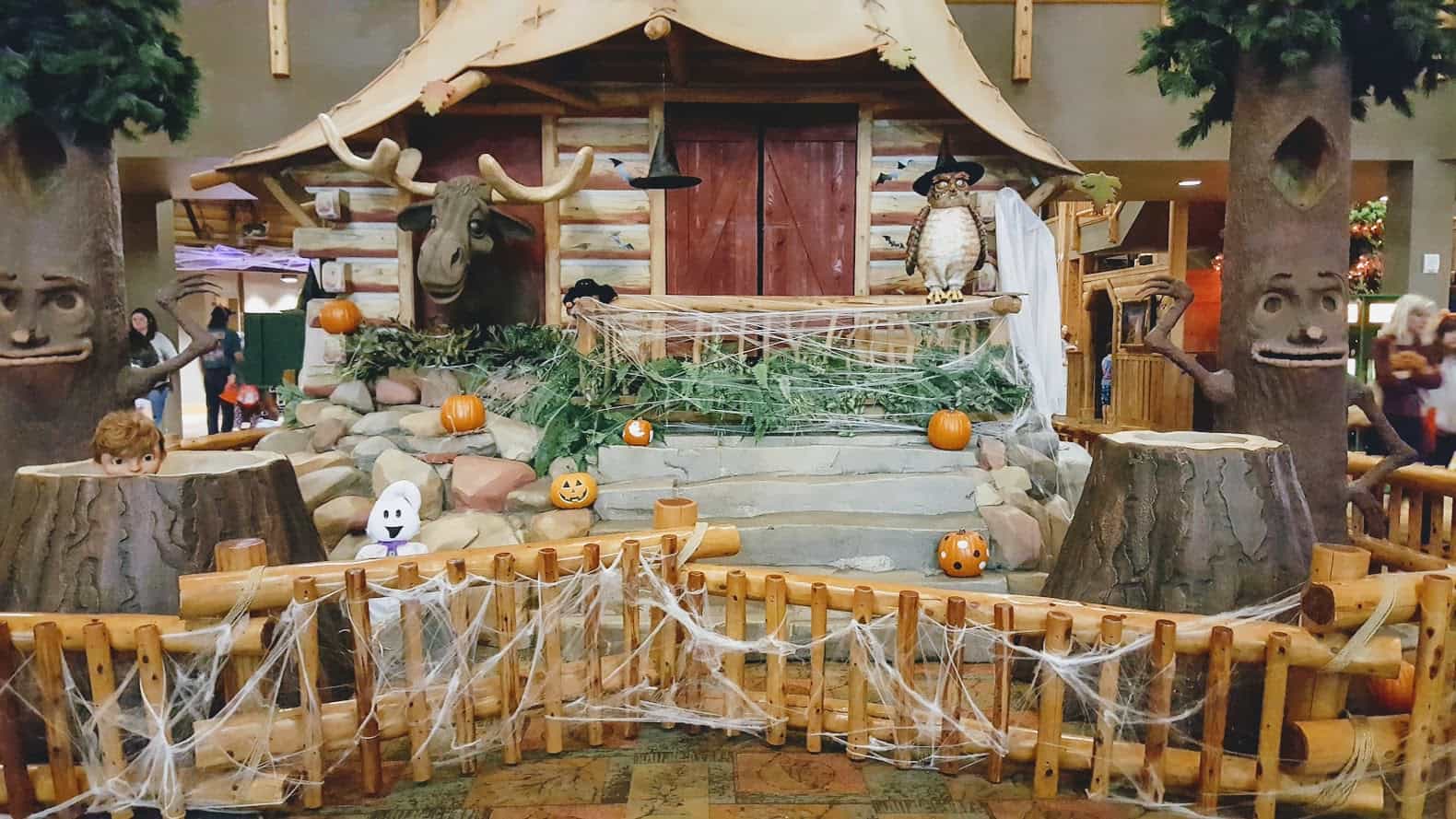 What’s NEW At Great Wolf Lodge, Save Up To 50% Off During Your Stay What’s NEW At Great Wolf Lodge, Save Up To 50% Off During Your Stay