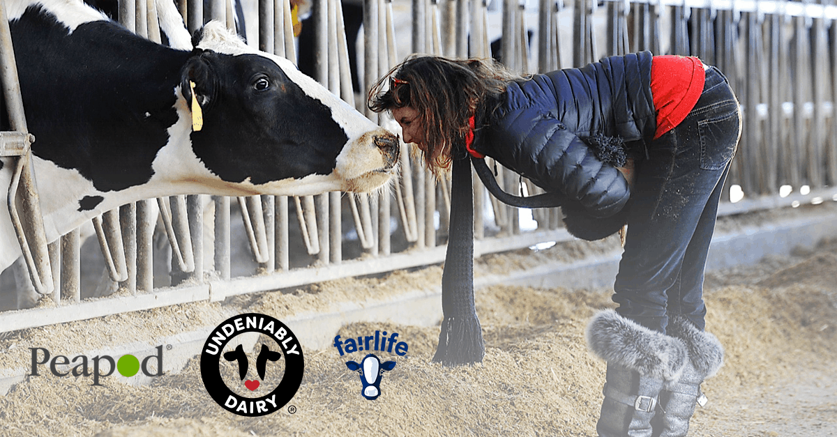 Save When You Buy 2 52oz FairLife Products #ad #TwoMilksInAPod Fairlife