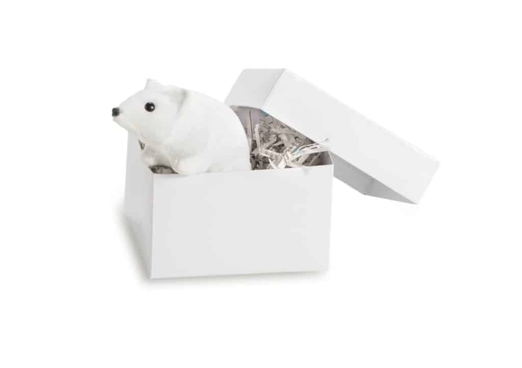 Gifts For The Hard To Shop For Gifts For The Hard To Shop For