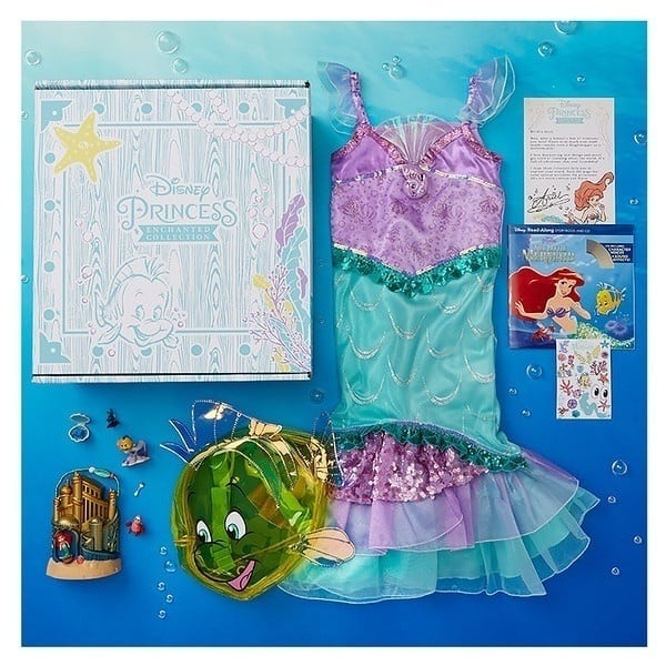 Disney Princess Enchanted Collection Subscription Boxes – A Magical Dream Right To Your Doorstep
