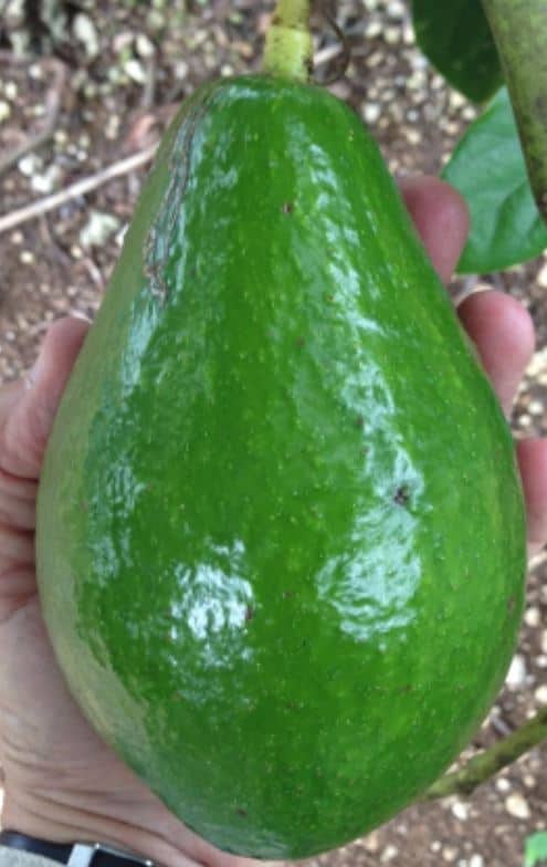 Must Have Gifts For Mother’s Day Must Have Gifts For Mother’s Day