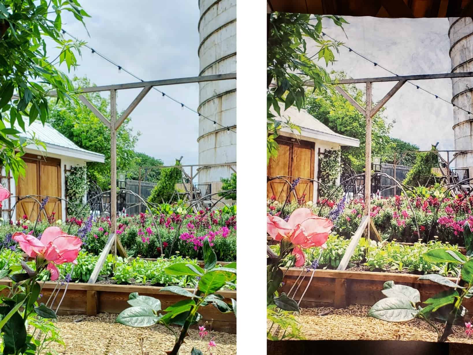 CanvasDiscount.com Is An Amazing Option For Affordable Last Minute Gifts