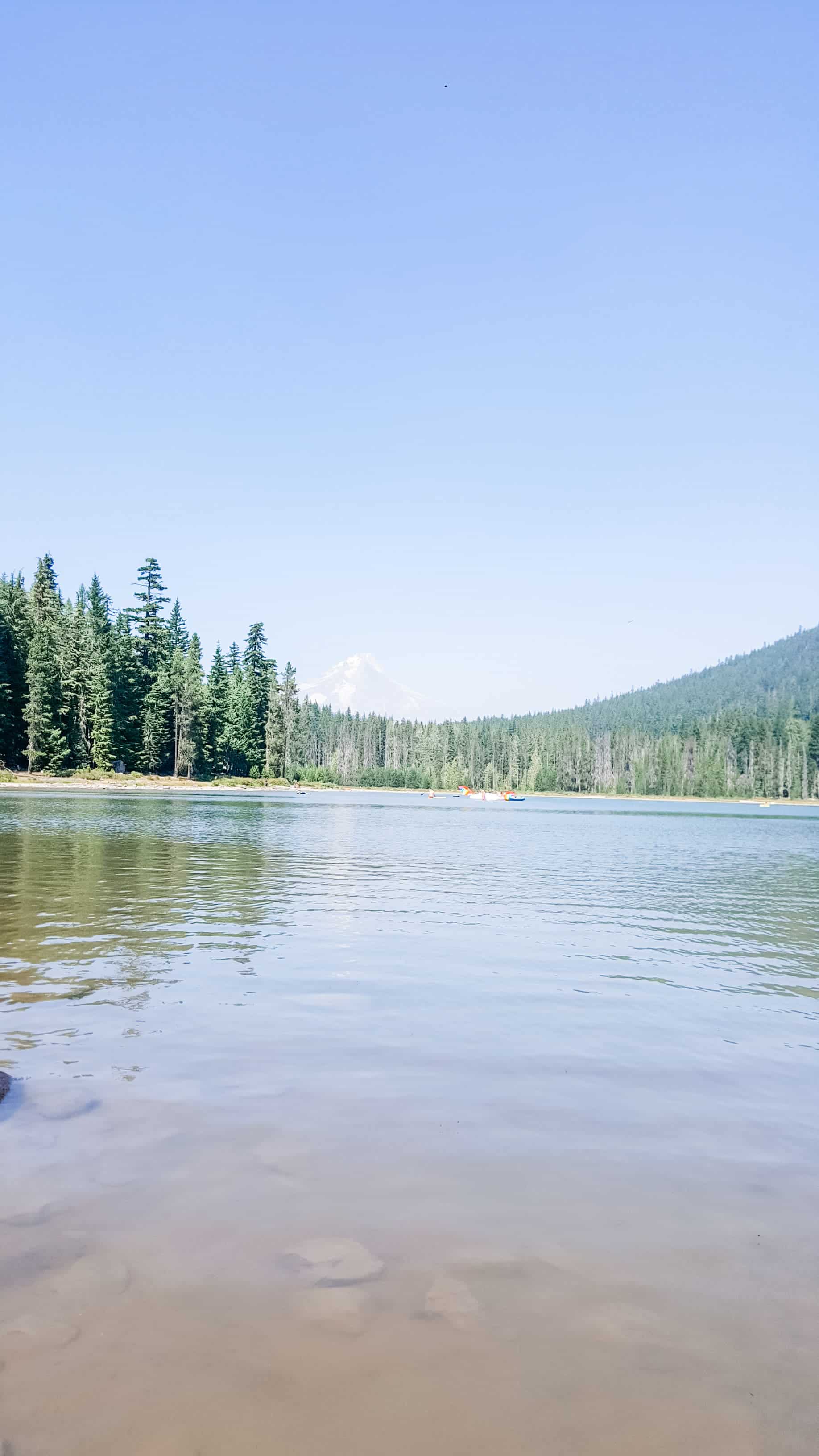 What You Should Know About Vacationing In A Tiny House What You Should Know About Vacationing In A Tiny House