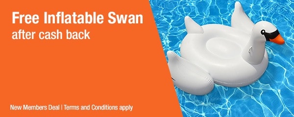 Get Your Free Swan Floatie From Walmart