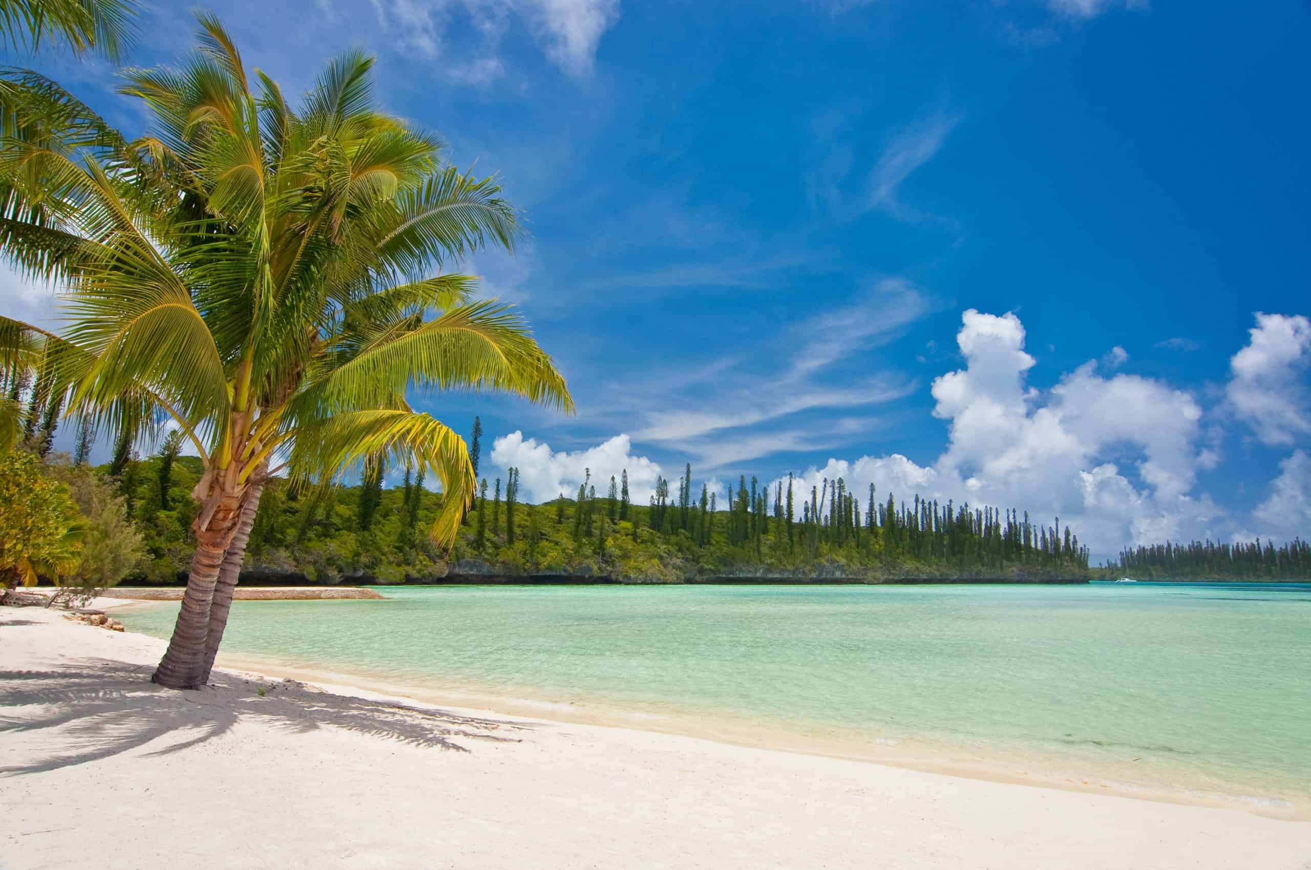 What Makes New Caledonia So Special