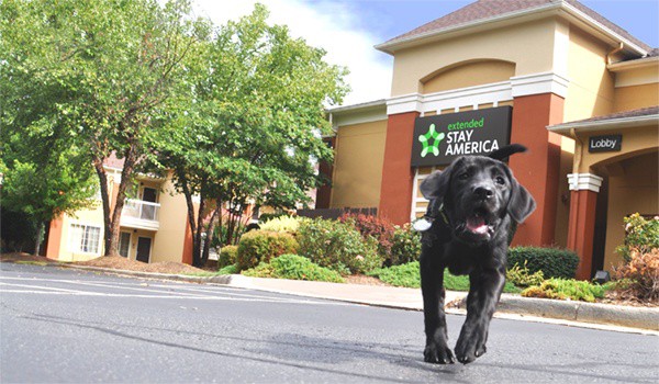 Pet Friendly Hotel Travel with Extended Stay America