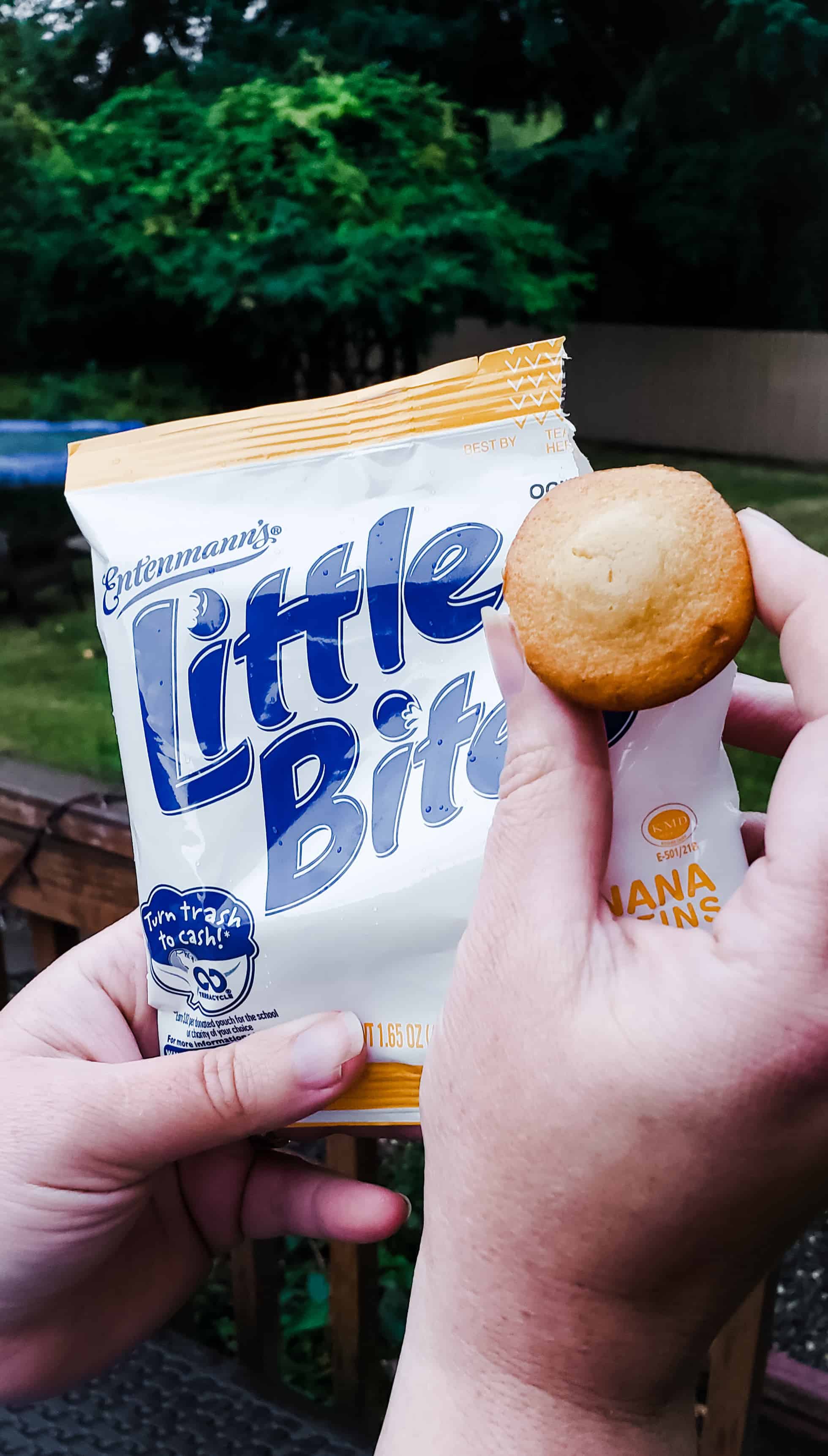Little Bites Muffin for #BackToSchool – Enter The #LoveLittleBites #Giveaway! #ad Little Bites Muffin for #BackToSchool – Enter The #LoveLittleBites #Giveaway! #ad