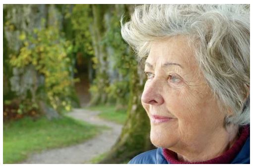 A Closer Look At The Effects Of Covid-19 Among The Elderly A Closer Look At The Effects Of Covid-19 Among The Elderly