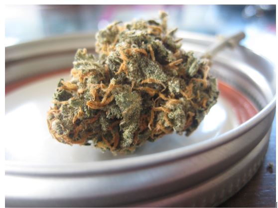 The Different Types of Cannabidiol Products Available in the Market Right Now The Different Types of Cannabidiol Products Available in the Market Right Now