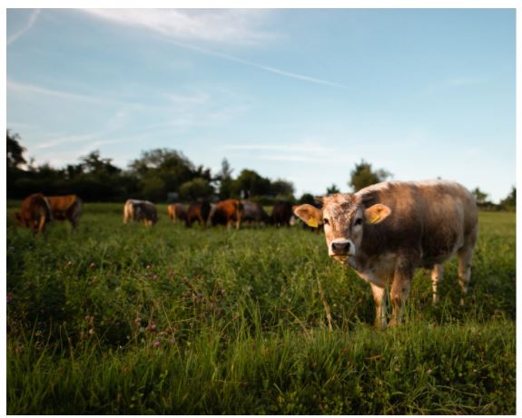 6 Amazing Details About Magnets That Will Blow Your Mind 6 Amazing Details About Magnets That Will Blow Your Mind