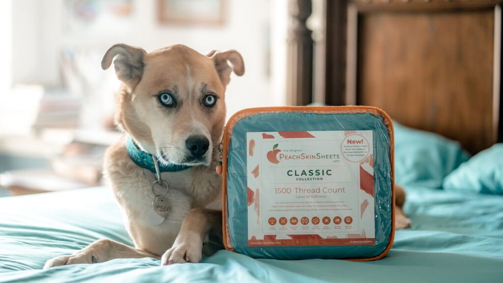 Father’s Day Gift Guide 2021 Father’s Day Gift Guide 2021