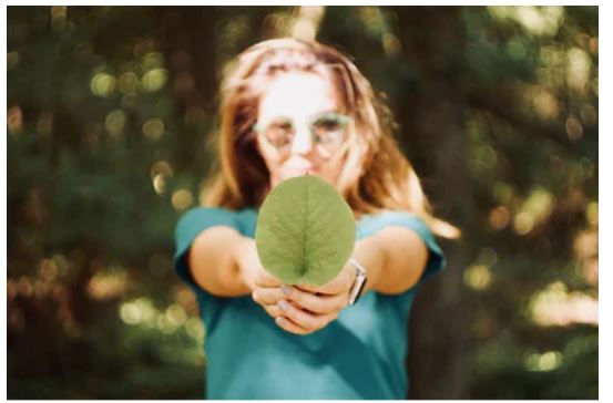 How To Reduce Your Carbon Footprint And Start Making A Difference How To Reduce Your Carbon Footprint And Start Making A Difference