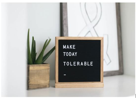 Why Having Indoor Plants Is Good For Your Mental Health