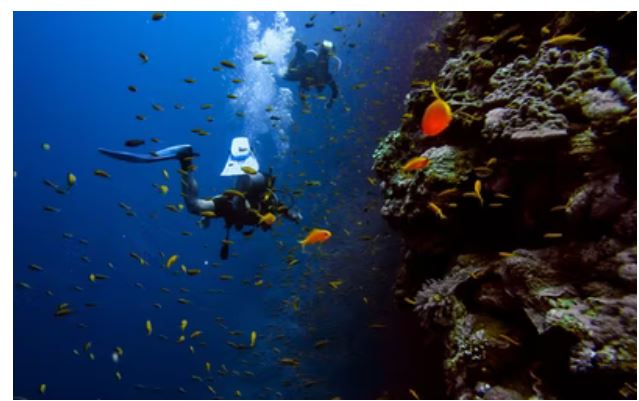 Top Destinations For The Most Fun Aquatic Activities Top Destinations For The Most Fun Aquatic Activities